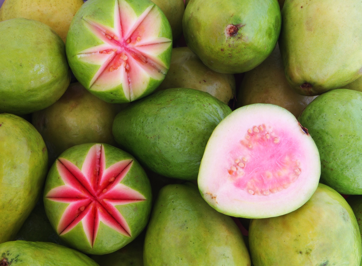 guava: frutto esotico, benefici 