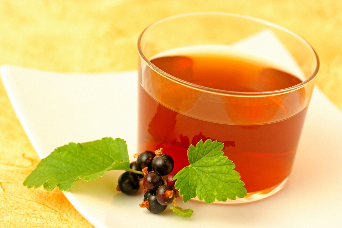 Ribes nigrum o nero: cos’è, proprietà e benefici, come usarlo, posologia 11 ribes nigrum: tisane e macerato glicerico