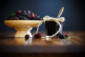 Gelso: proprietà, benefici e usi dei frutti del gelso rosso e nero