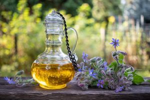 Olio di borragine: proprietà e benefici, per cosa si usa, controindicazioni