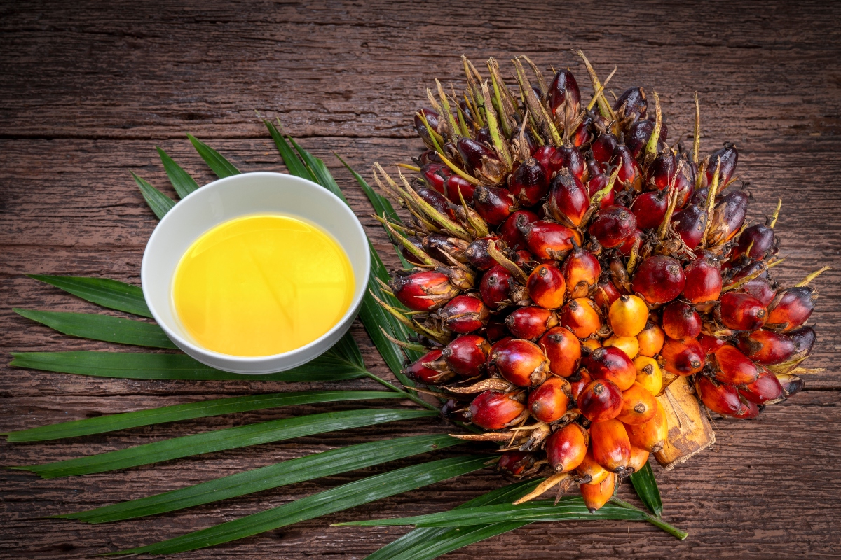 l'olio di palma fa male alla salute? 