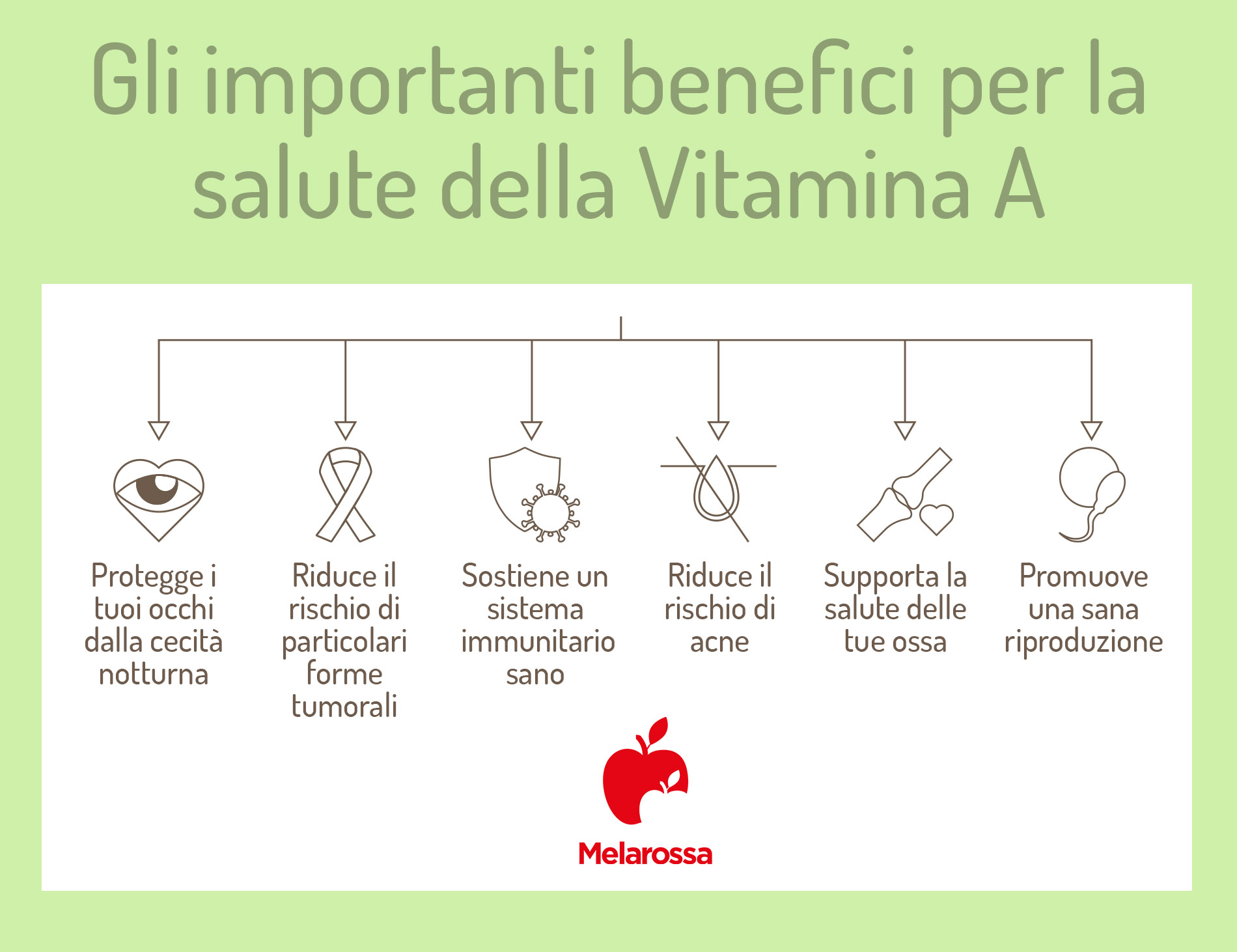vitamina A: benefici 