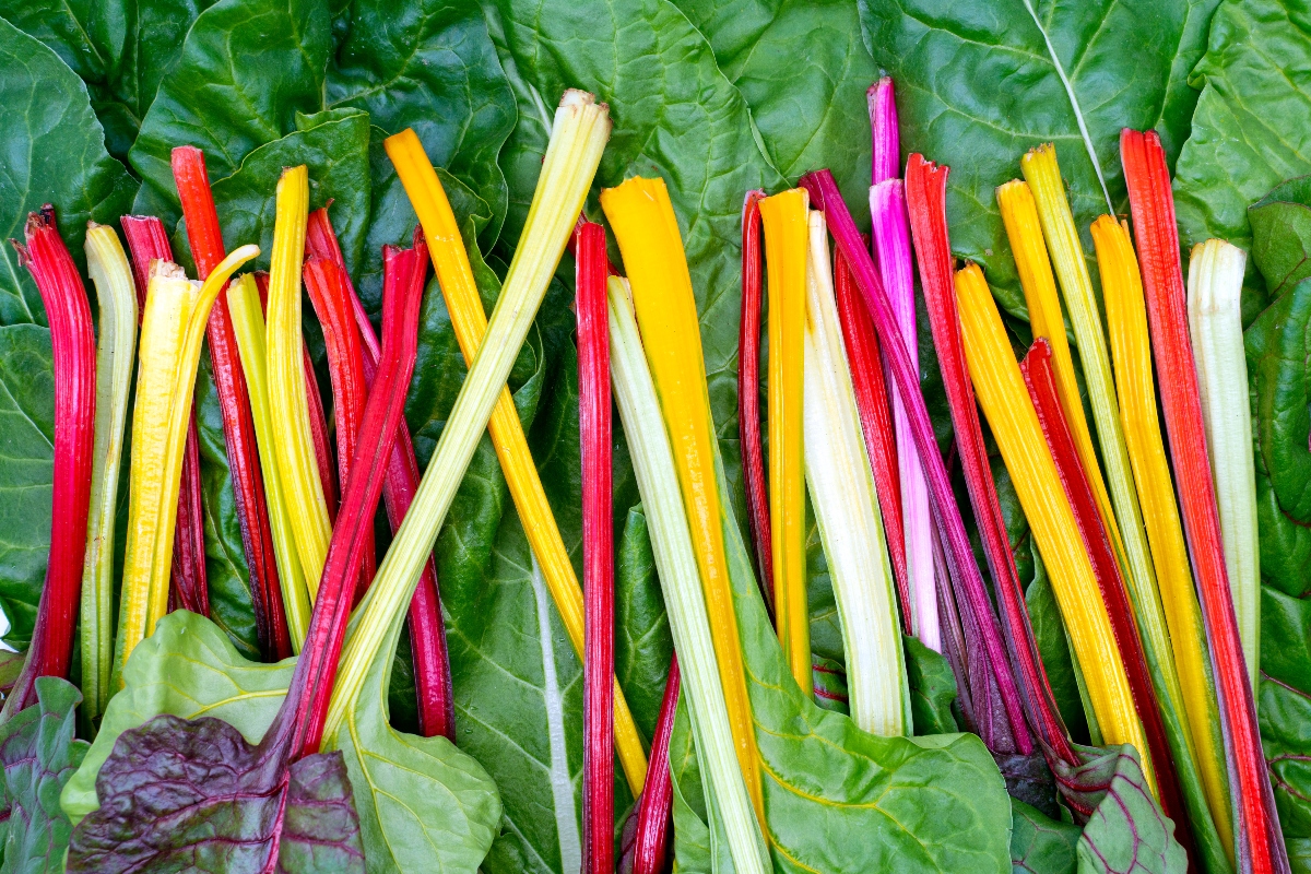 alimenti ricchi di magnesio: bietole