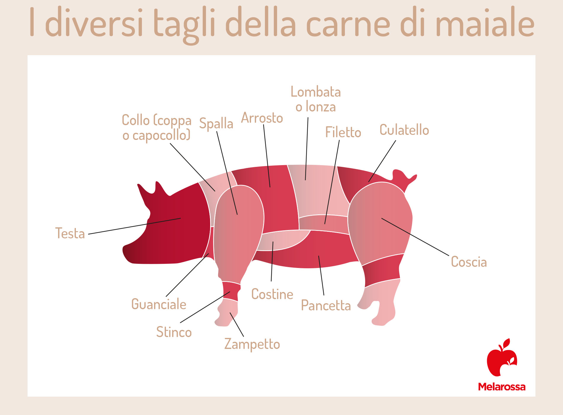 carne di maiale: i diversi tagli 