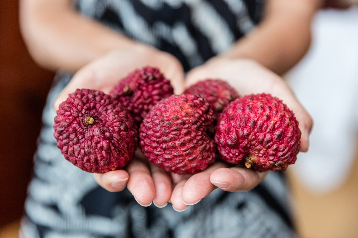 frutta esotica: cos'è, elenco completo, benefici, calorie e usi in cucina