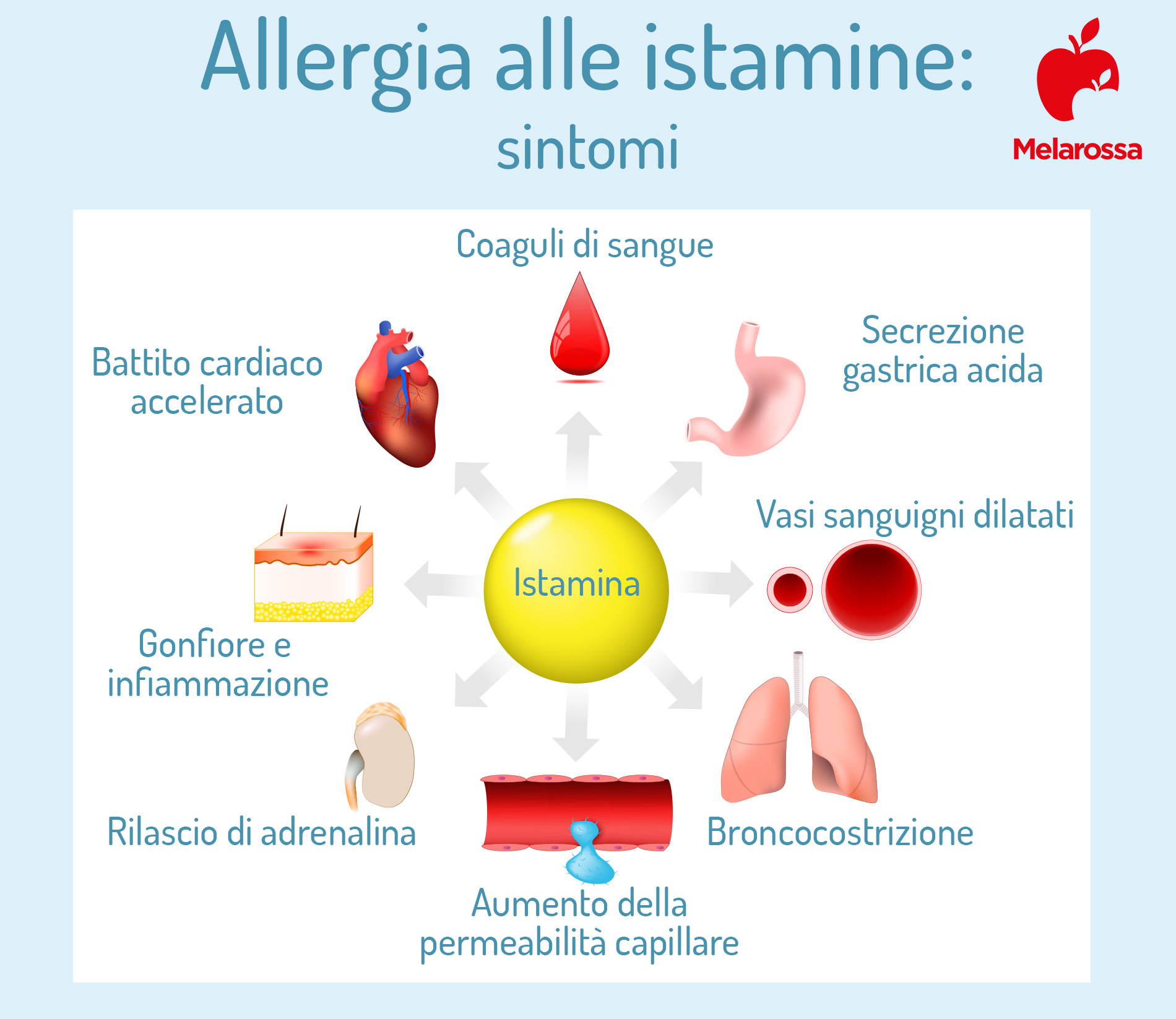 allergia all'istamina: sintomi