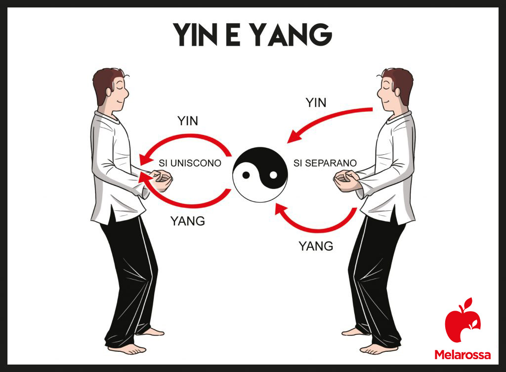 lo yin e lo yang nel tai chi