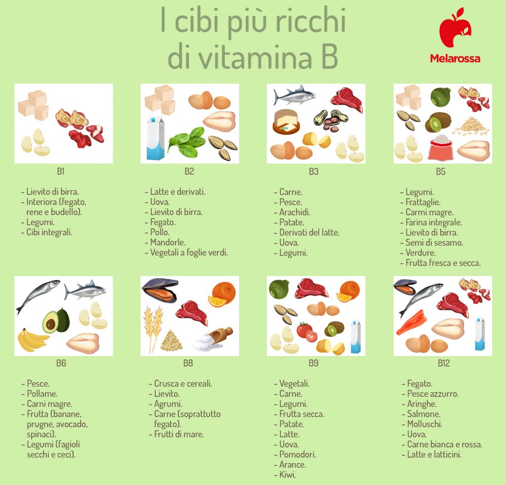 tabella con i cibi più ricchi di vitamina B: infografica