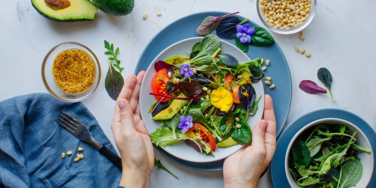 lattuga: varietà, benefici per la salute, valori nutrizionali, le migliori ricette