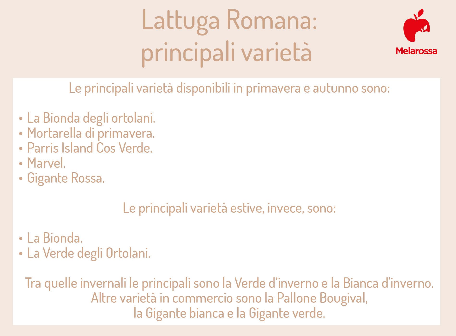 lattuga romana: principali varietà