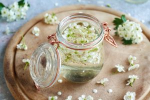 Biancospino: cos’è, proprietà, benefici, usi e controindicazioni