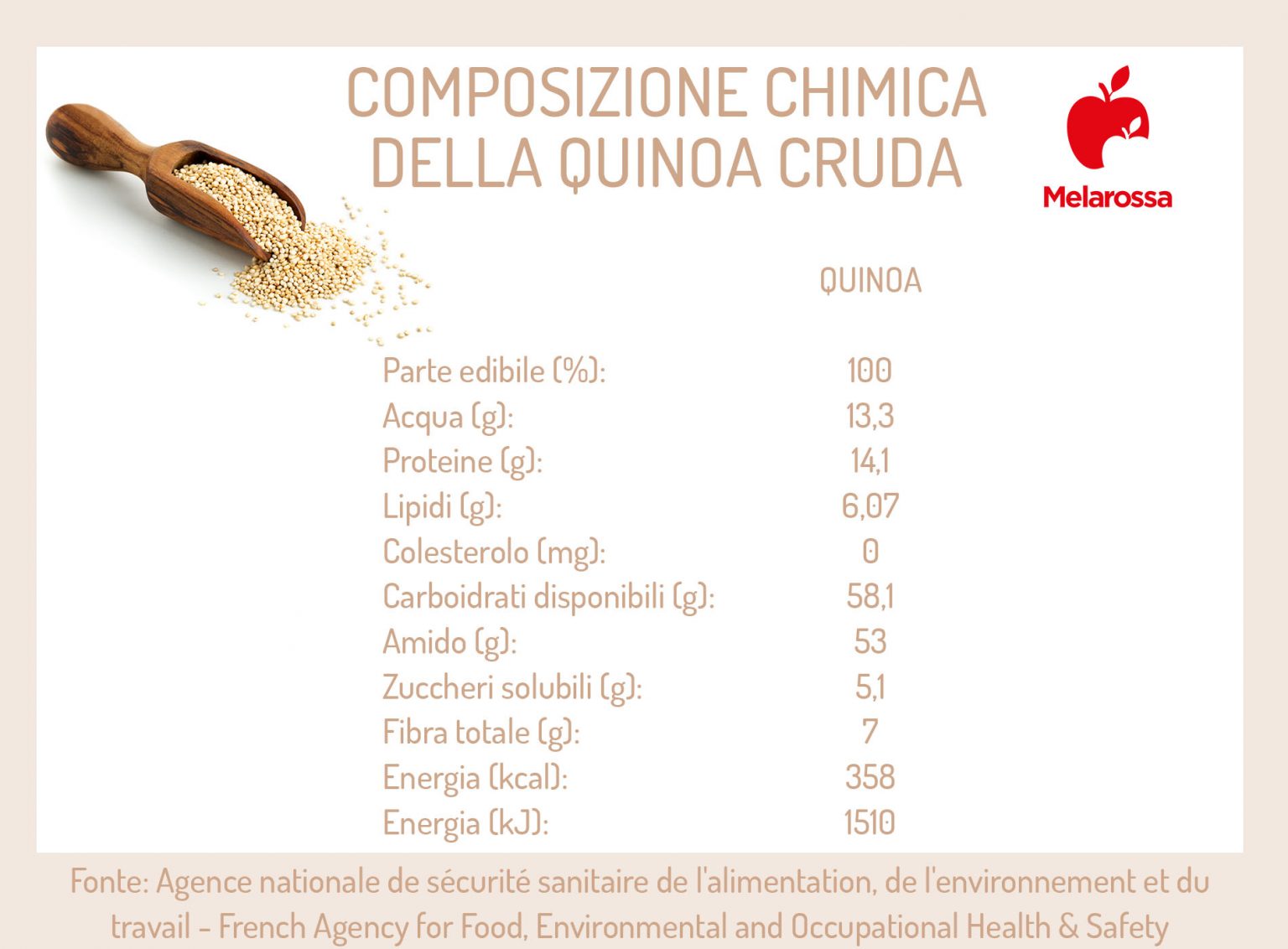 Quinoa benefici, proprietà e usi in cucina Melarossa