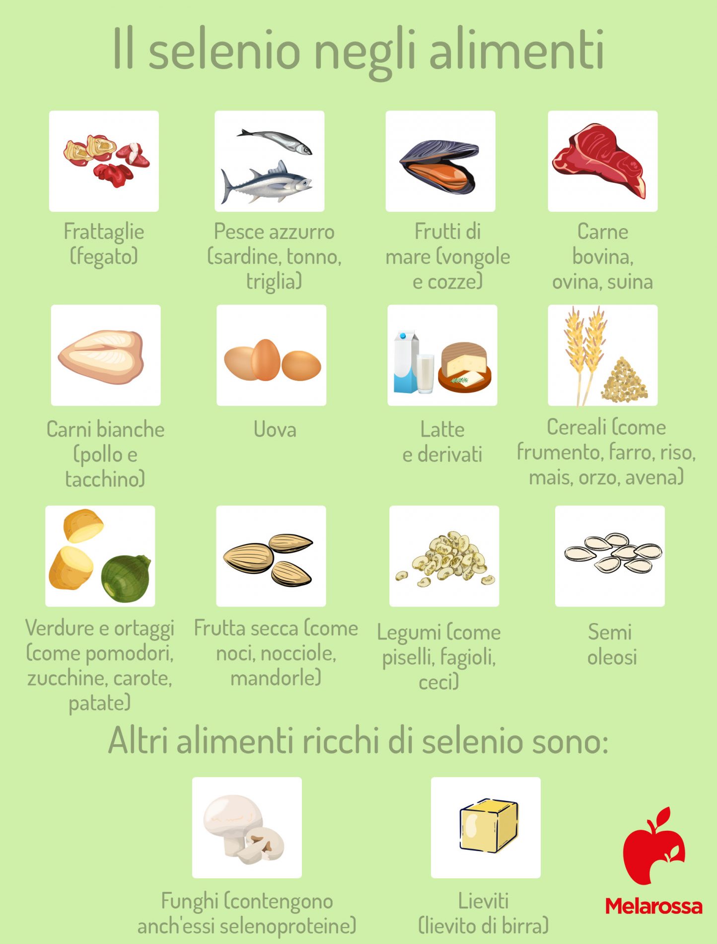 Alimenti ricchi di selenio