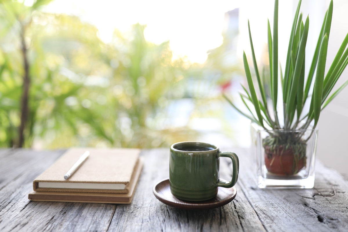 Come preparare e consumare il caffè verde - Madreterra Caffè