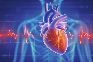 Frequenza cardiaca: valori normali, cosa fare quando è alta o bassa
