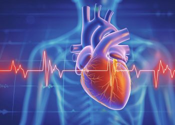 un'immagine stilizzata del cuore e della frequenza cardiaca