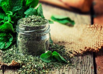 menta piperata: cos'è, benefici, usi e controindicazioni