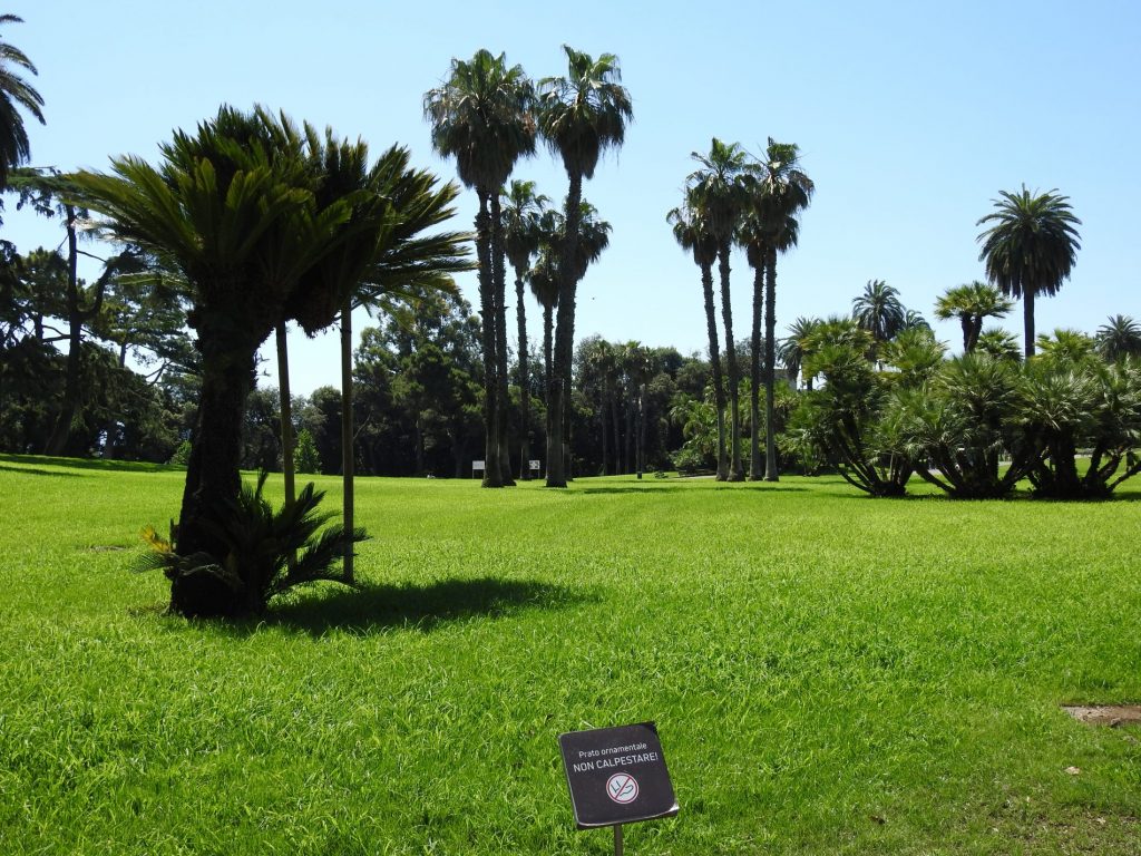 napoli real bosco di capodimonte 2