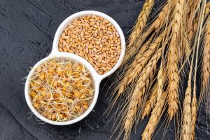 Germe di grano: che cos’è, proprietà e benefici, usi, ricette, controindicazioni