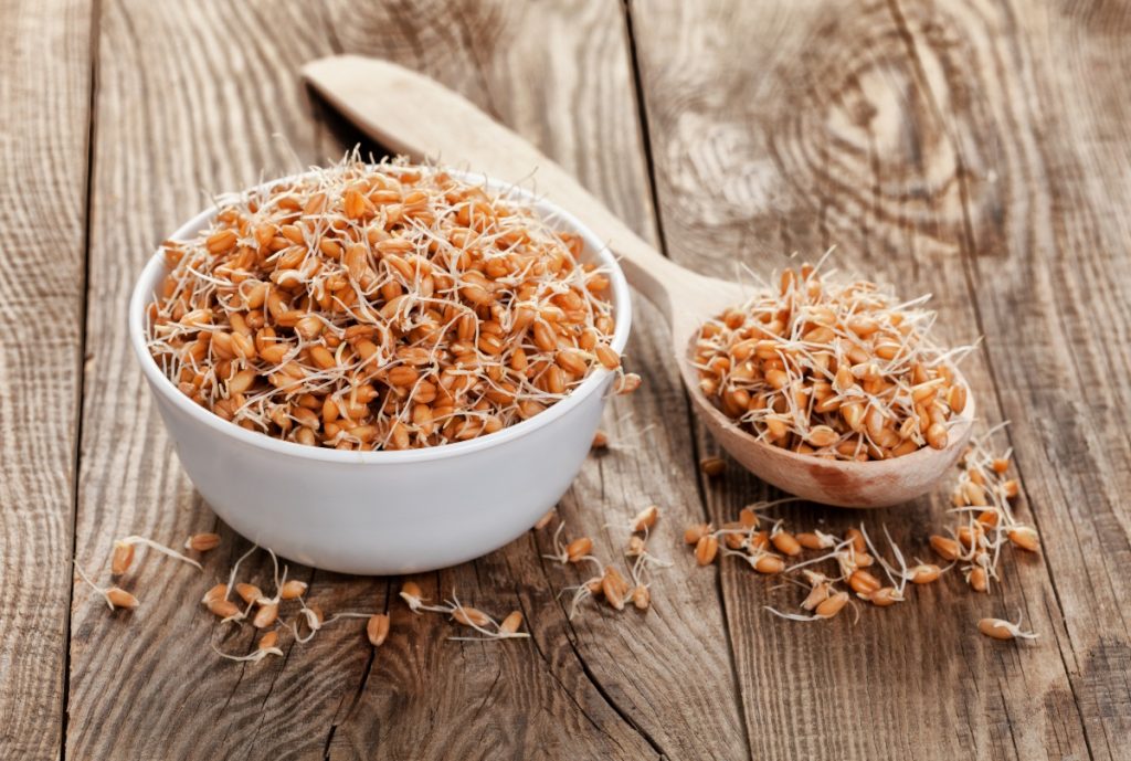 germogli di grano 