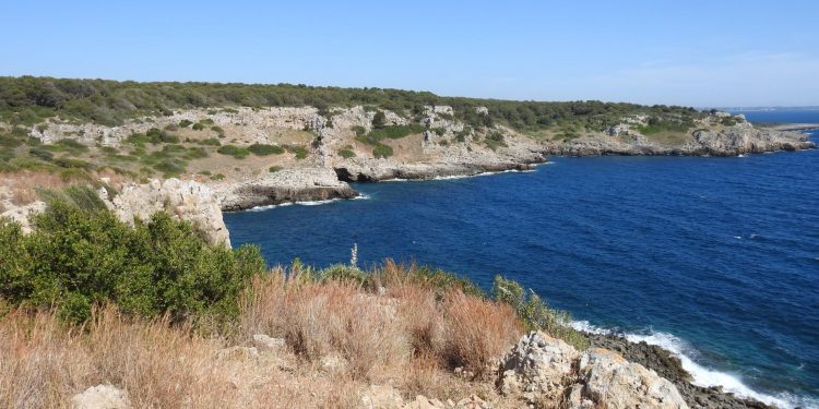 Nardò Parco di Porto Selvaggio