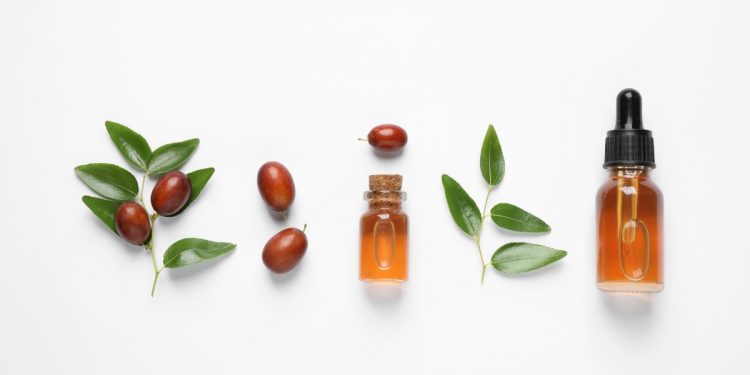 Olio di jojoba: che cos'è, proprietà e benefici, usi e la ricetta per farlo in casa