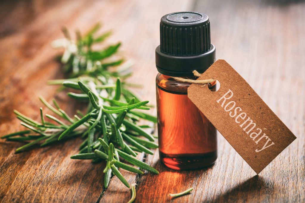 Rosemary essential oil: all health benefits
