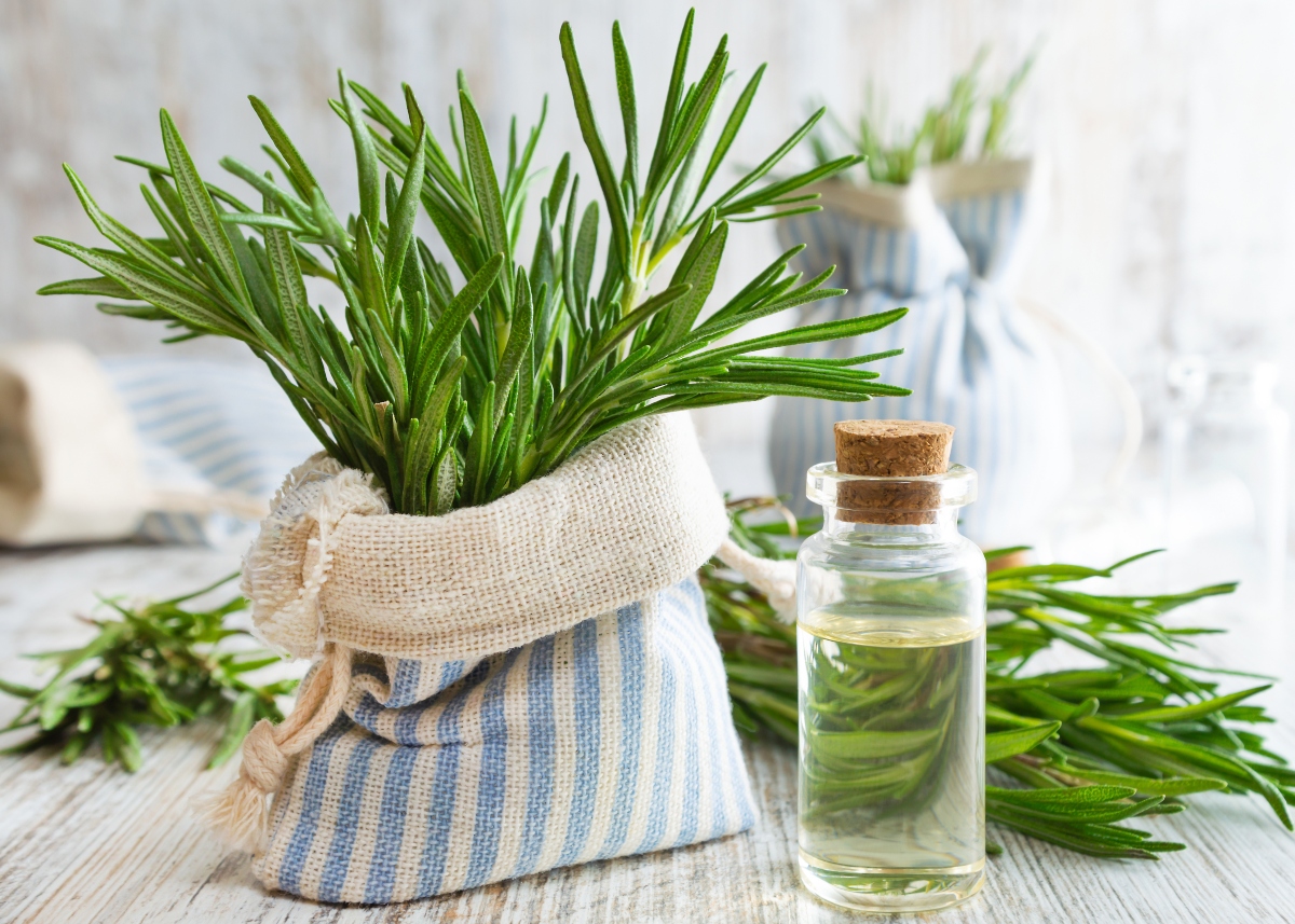 Olio di crescita dei capelli di rosmarino, olio essenziale di rosmarino, olio  di rosmarino per la cura della pelle della crescita dei capelli, stimola la  crescita dei capelli