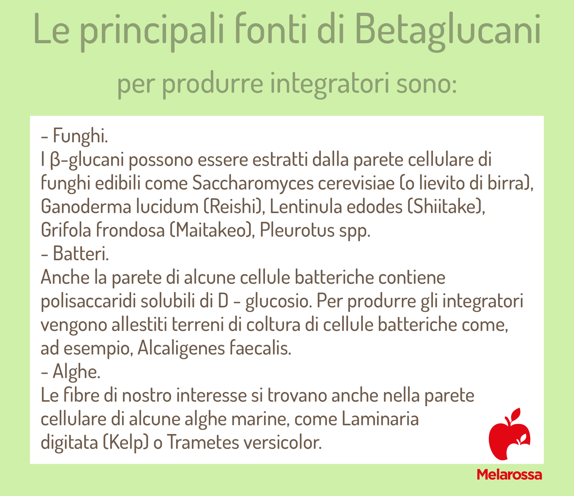 betaglucani: principali fonti per produrre integratori 