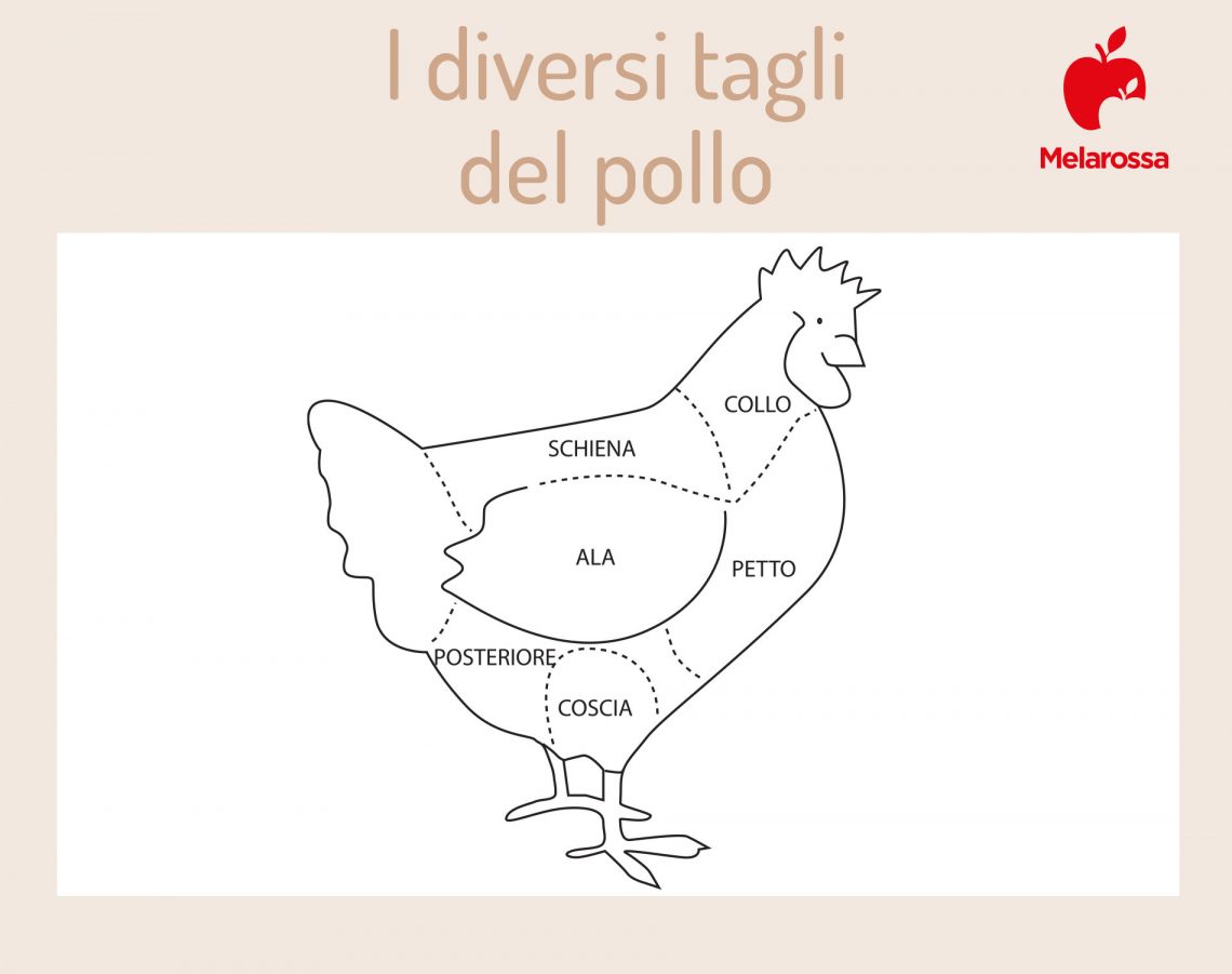 Carne di pollo: valori nutrizionali, calorie, benefici e migliori ricette