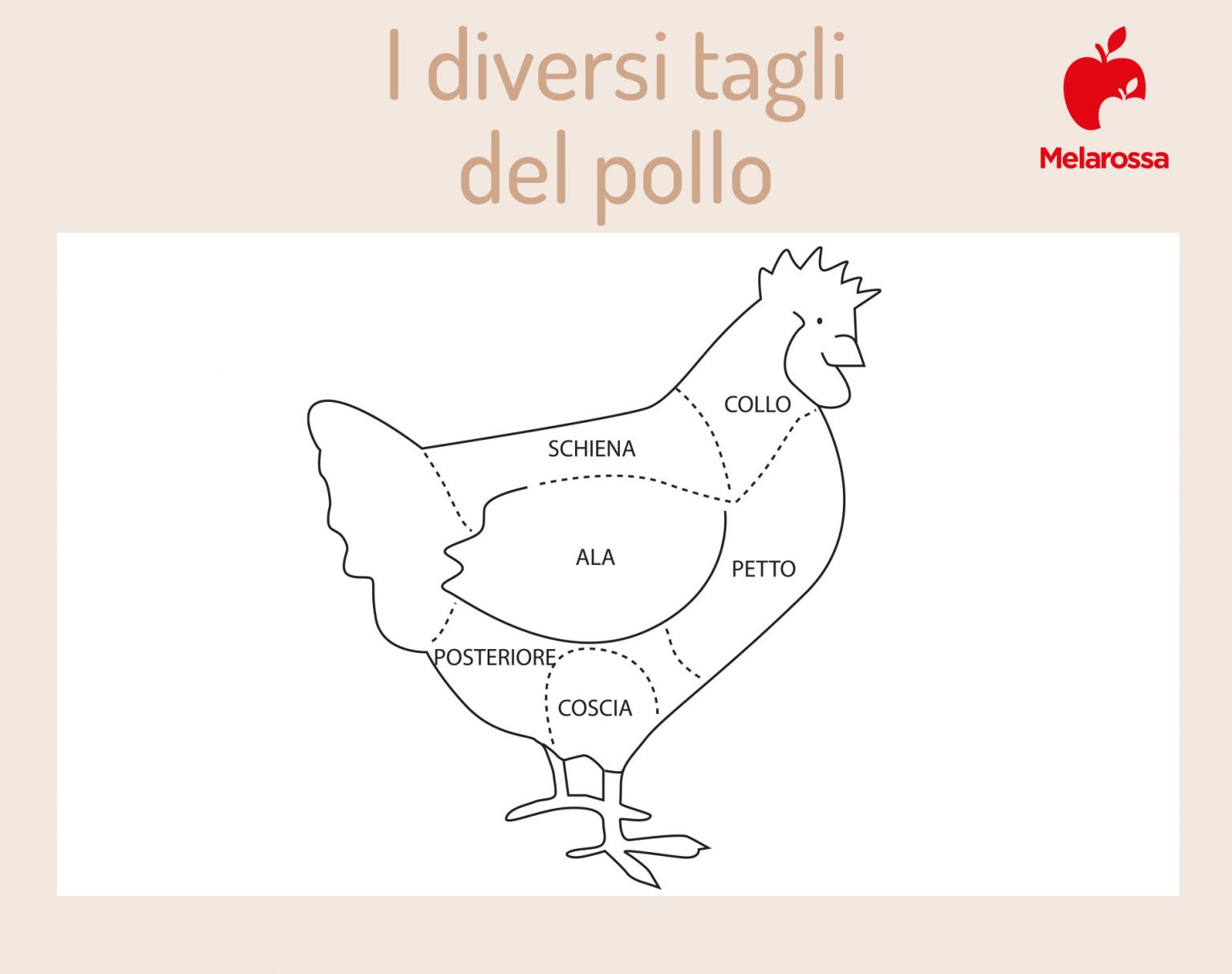 Carne di pollo valori nutrizionali, calorie, benefici e migliori ricette