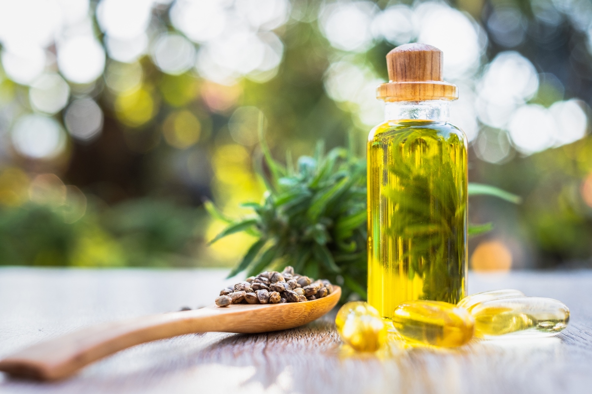 Olio di canapa: che cos'è, benefici, usi e controindicazioni