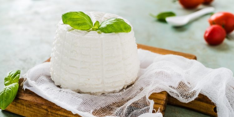latticini, una ricotta su un tagliere con una foglia id basilico