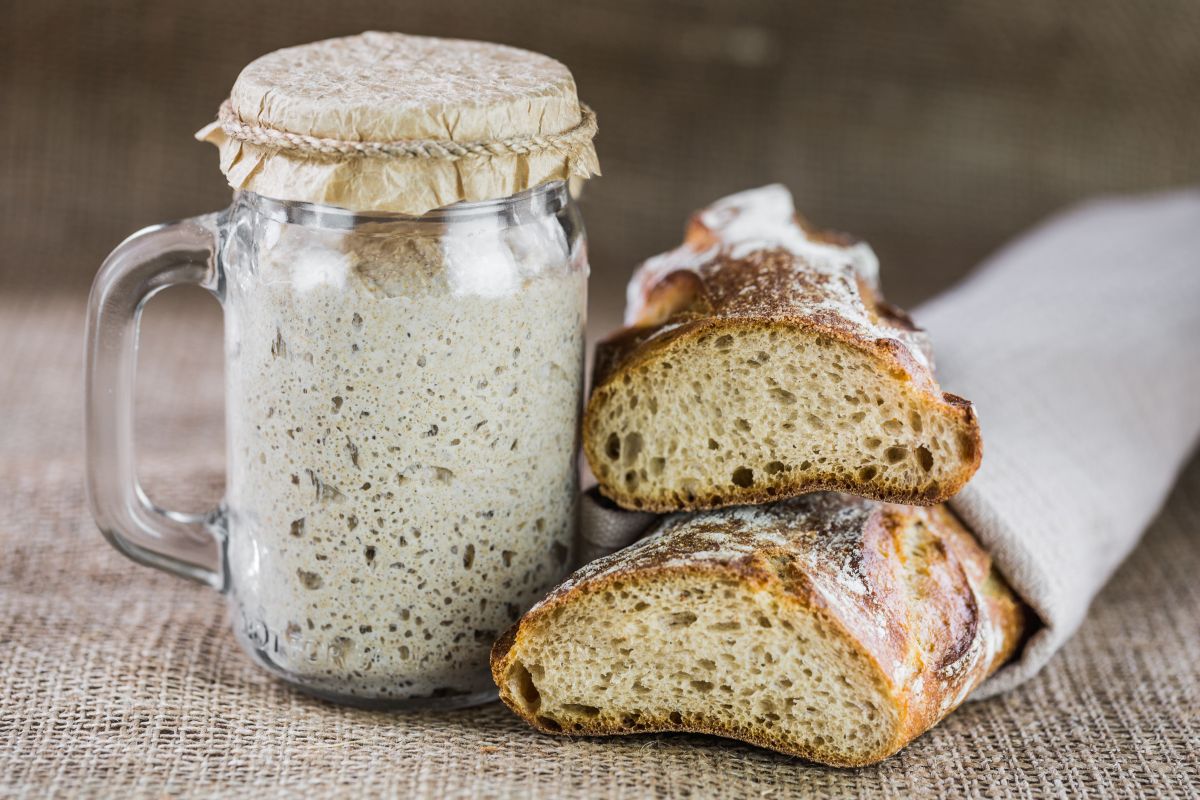 ricette con lievito madre