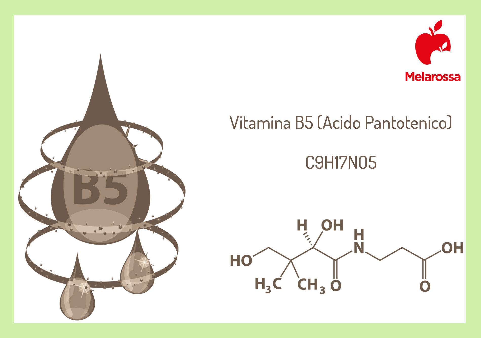 vitamina B5: che cos'è