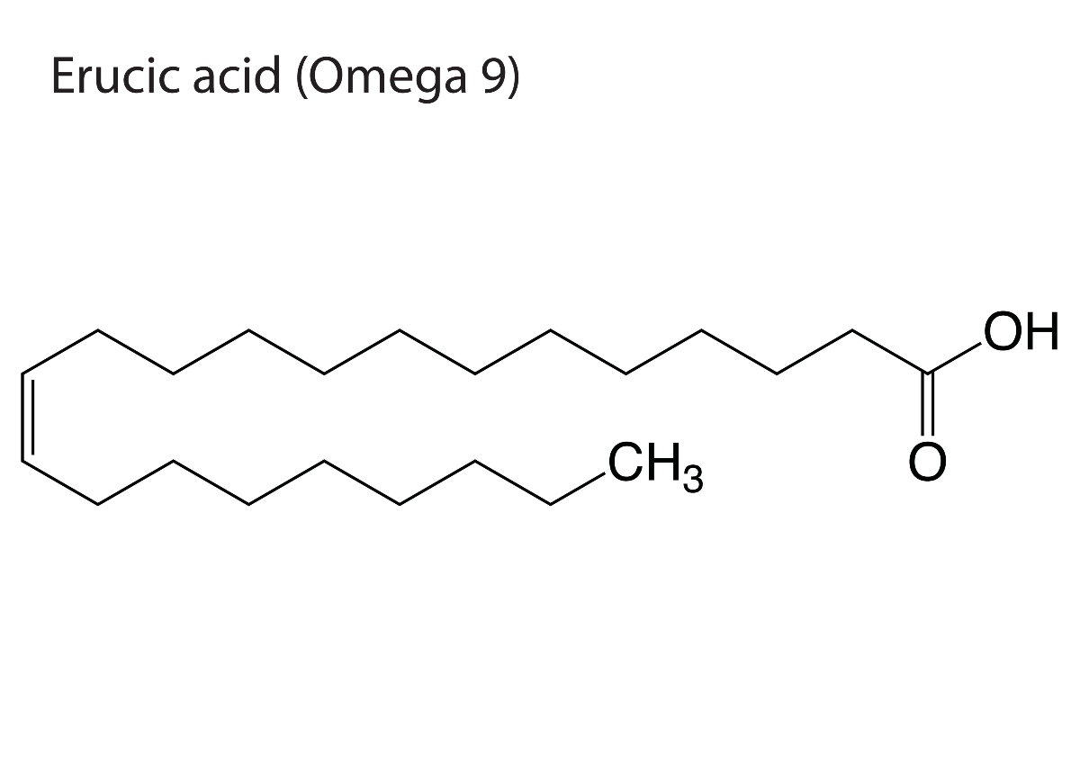 acido erucico e olio di colza
