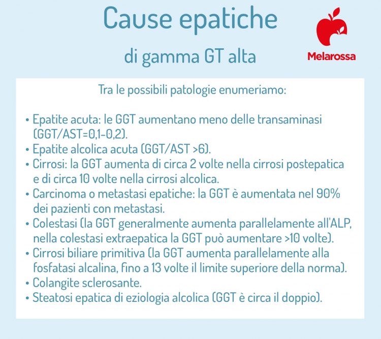 Gamma GT: che cos'è, come si misura, valori normali, valori alti