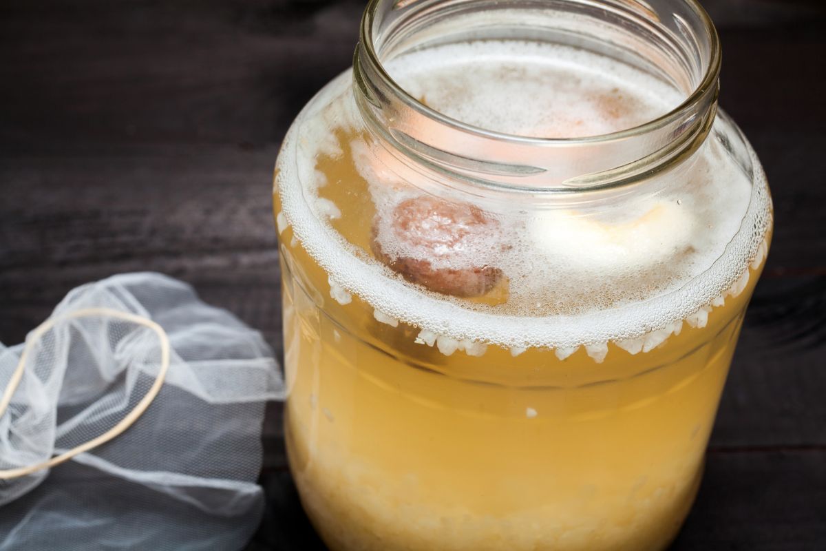 Kefir d'acqua: ricetta, usi e tutti i benefici - Melarossa