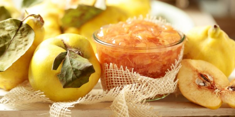 mela cotogna: su piano di legno varie mele cotogne intere e a spicchi e una ciotola di vetro con le mele cotte