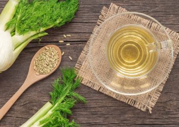 una tazza in vetro trasparente con la tisana al finocchio e accanto un mestolo con semi di finocchio e un finocchio fresco