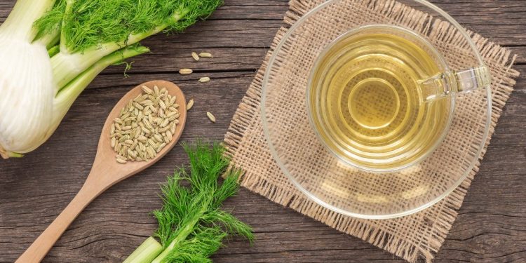una tazza in vetro trasparente con la tisana al finocchio e accanto un mestolo con semi di finocchio e un finocchio fresco