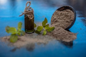 Bacopa Monnieri: la pianta Ayurvedica tra proprietà, benefici, usi e controindicazioni