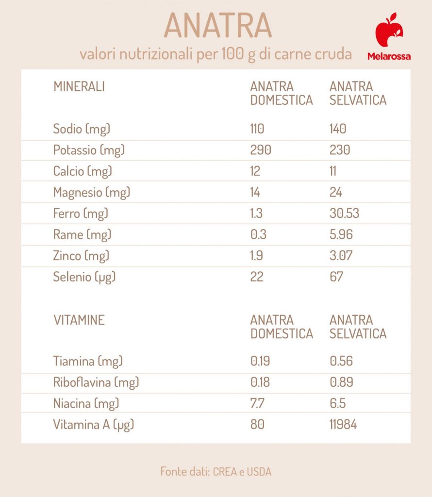 Anatra che cos'è, valori nutrizionali della carne, benefici e ricette