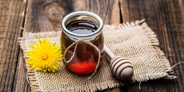 miele di melata: che cos'è, valori nutrizionali, benefici, usi e produzione