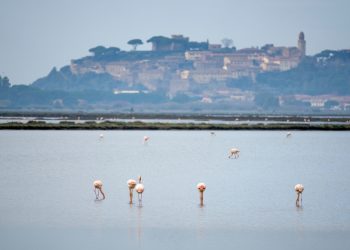 Maremma: riserva naturale
