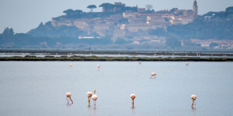 Maremma: riserva naturale