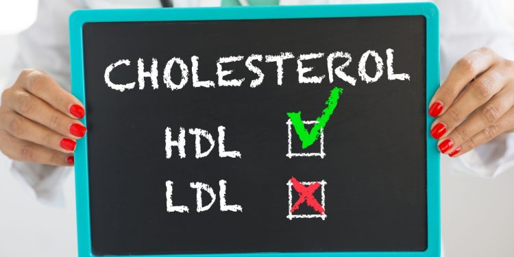 colesterolo totale: che cos'è, valori normali, cosa fare quando è basso o alto