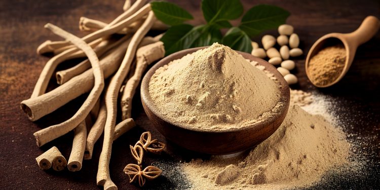 Ashwagandha: che cos'è , proprietà e benefici: usi in cucina e bellezza, integratori