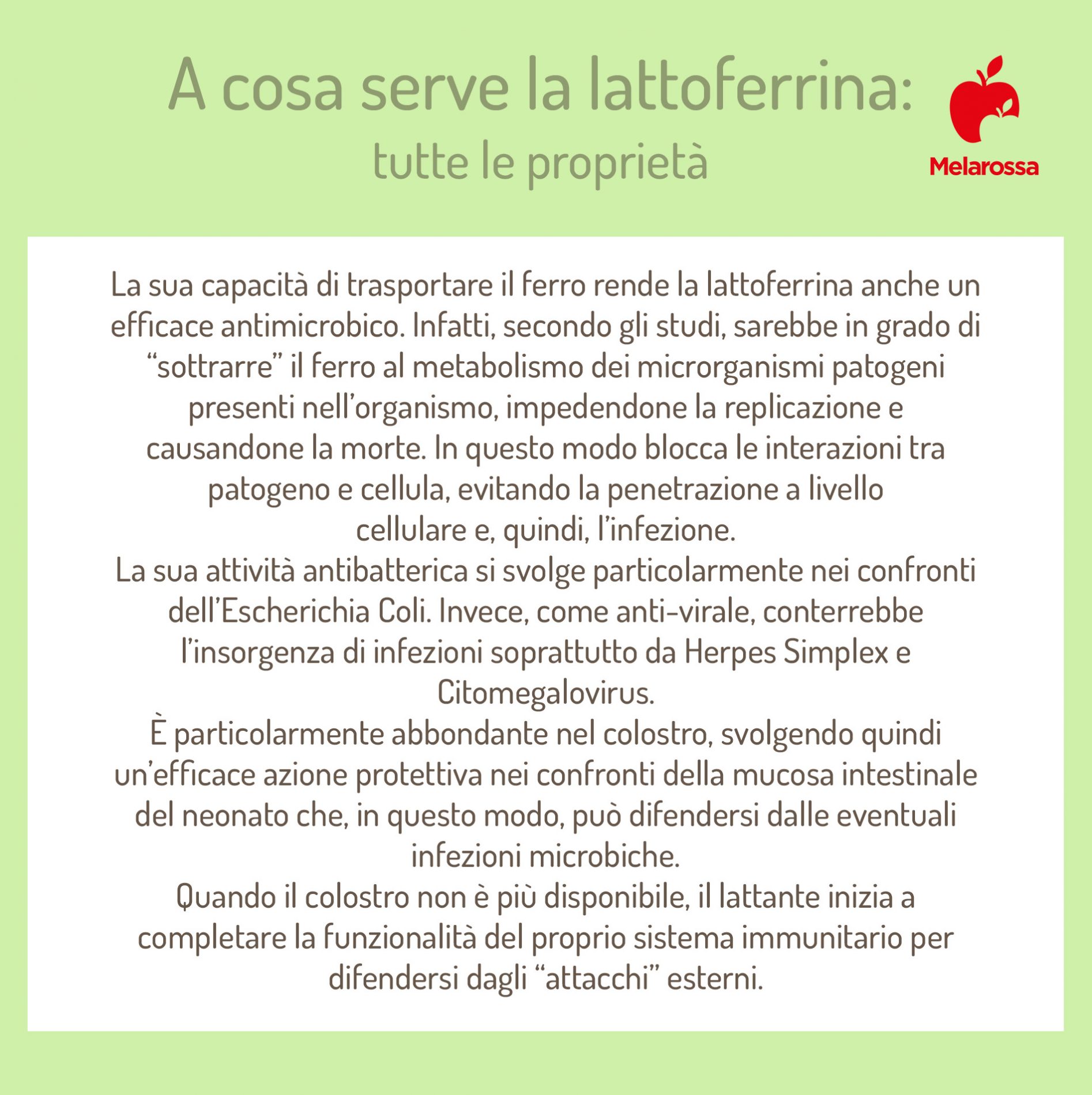a cosa serve la lattoferrina