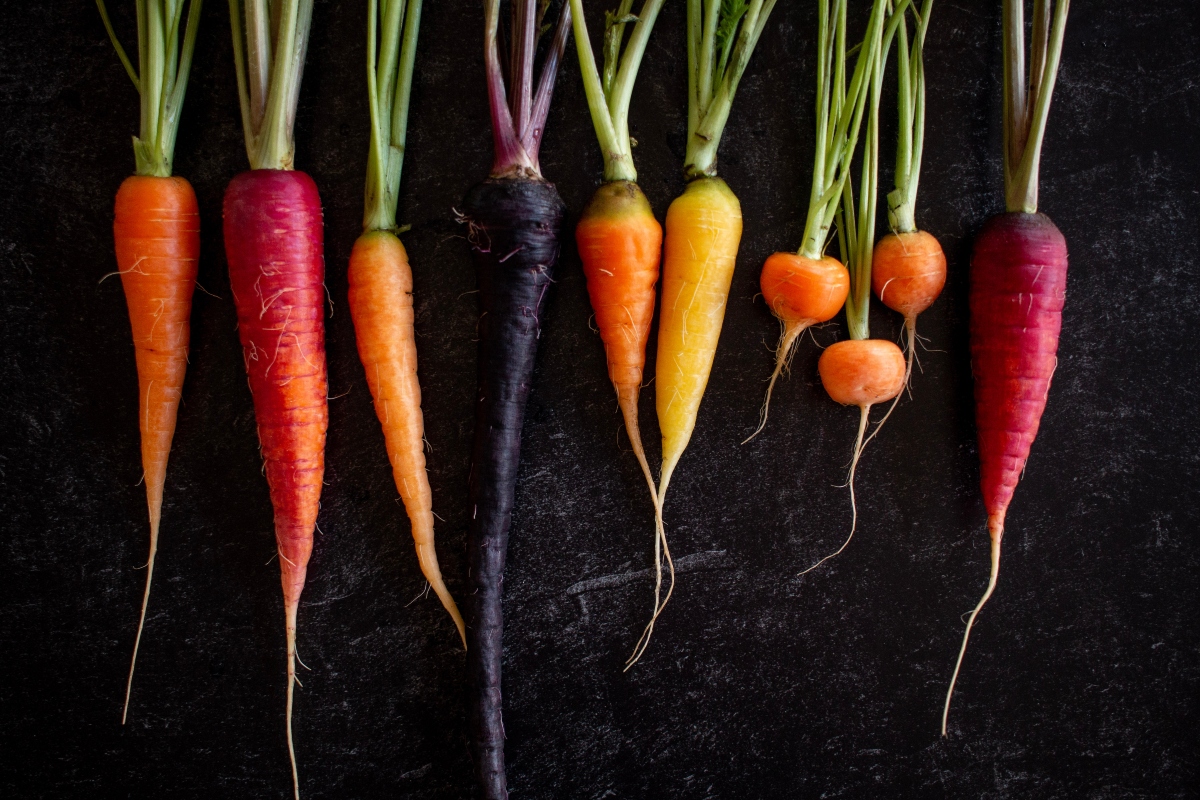 carote: varietà